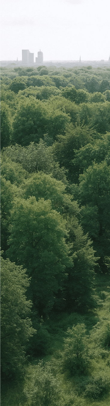 Hintergrundmotiv des FC Waldstraßenviertel Leipzig Archivs
